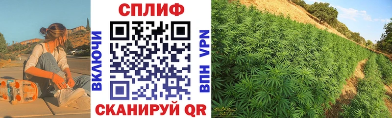 Каннабис SATIVA & INDICA  OMG ONION  Покачи 